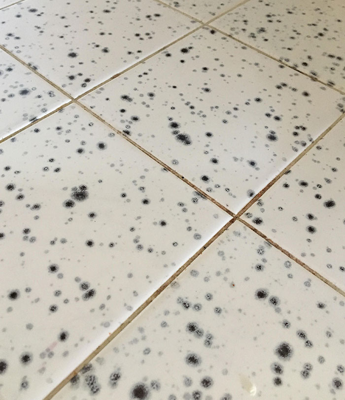 This Entire Kitchen’s Counters And Backsplash Are Covered With This “Faux Mold” Tile