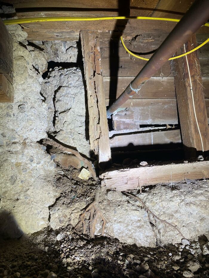 Horrible-Structural-Inspections