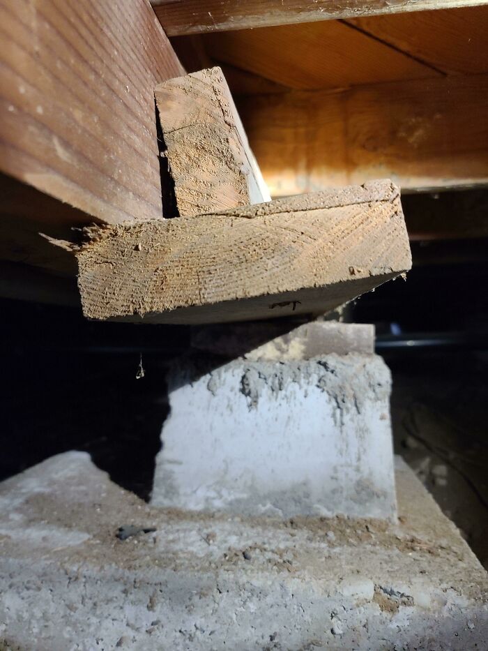 Horrible-Structural-Inspections