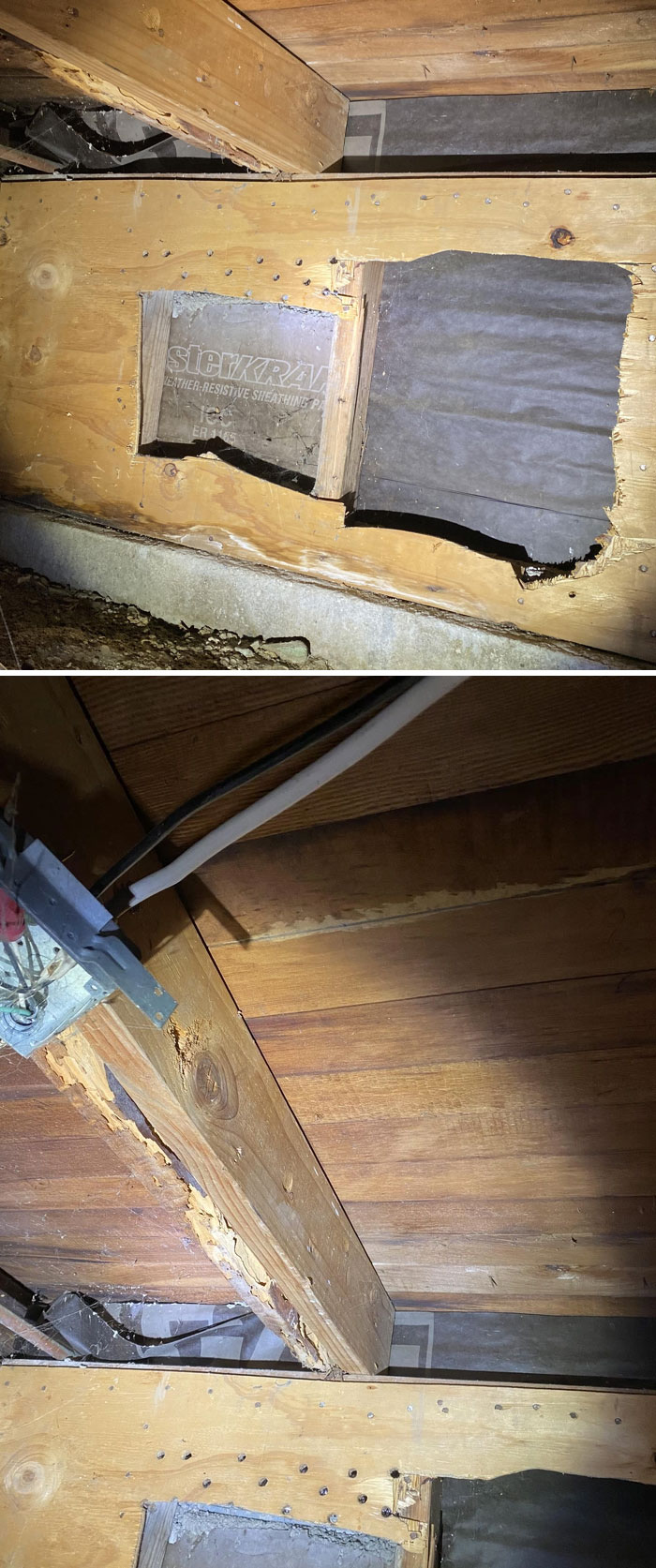 Horrible-Structural-Inspections