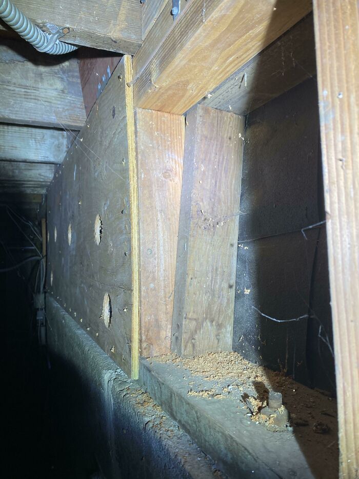 Horrible-Structural-Inspections