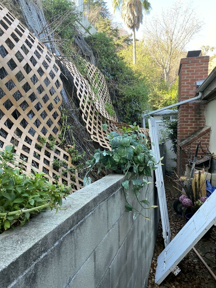 Horrible-Structural-Inspections