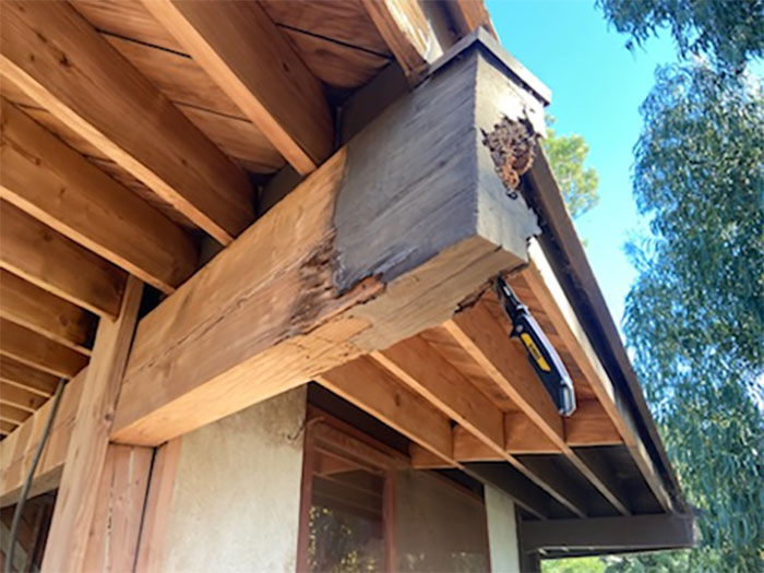 Horrible-Structural-Inspections