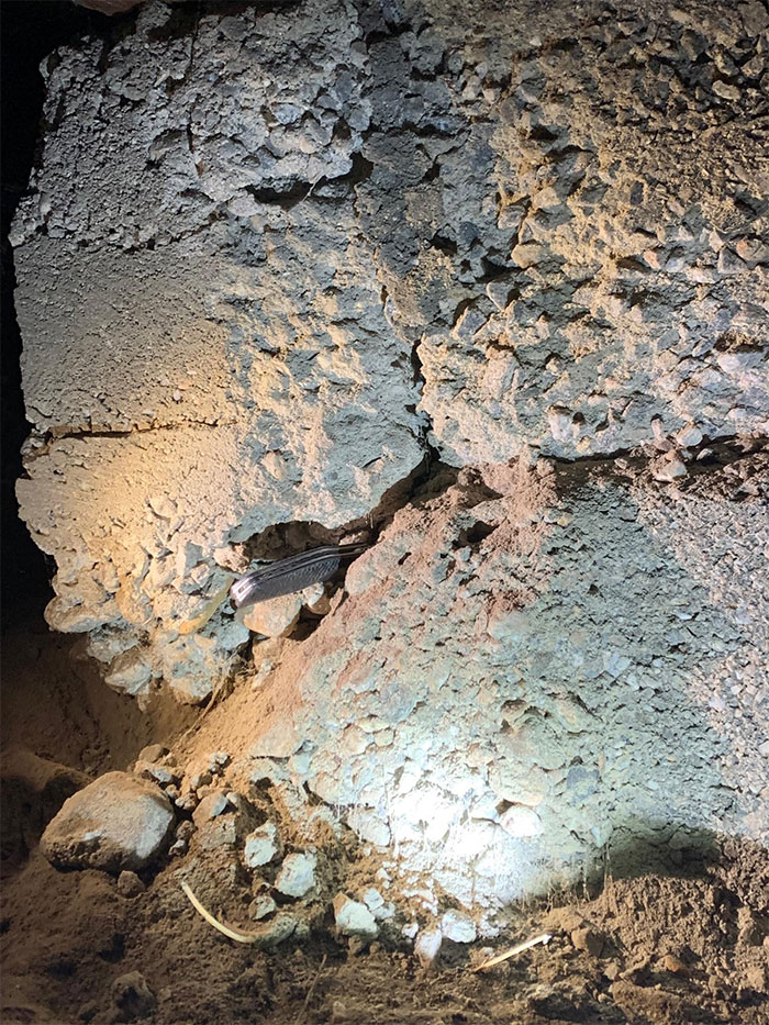 Horrible-Structural-Inspections