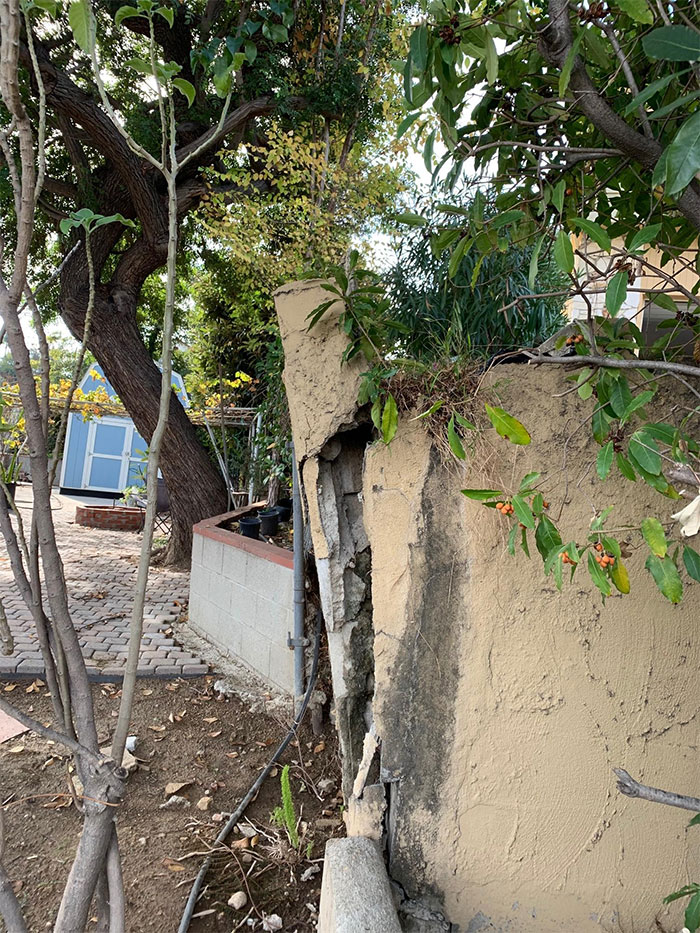 Horrible-Structural-Inspections