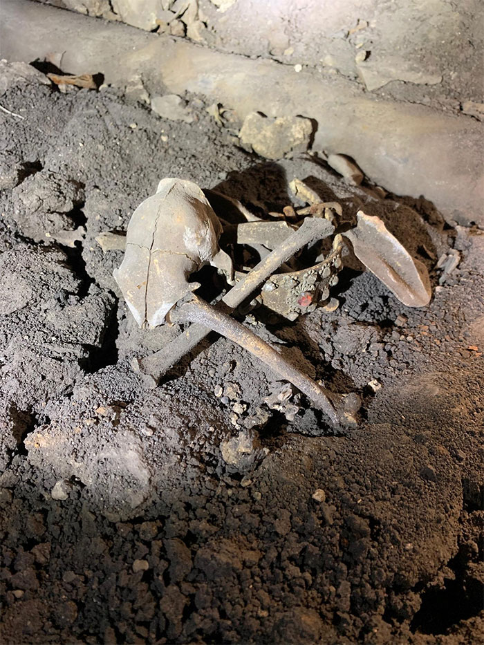 Horrible-Structural-Inspections