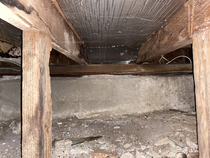 Horrible-Structural-Inspections