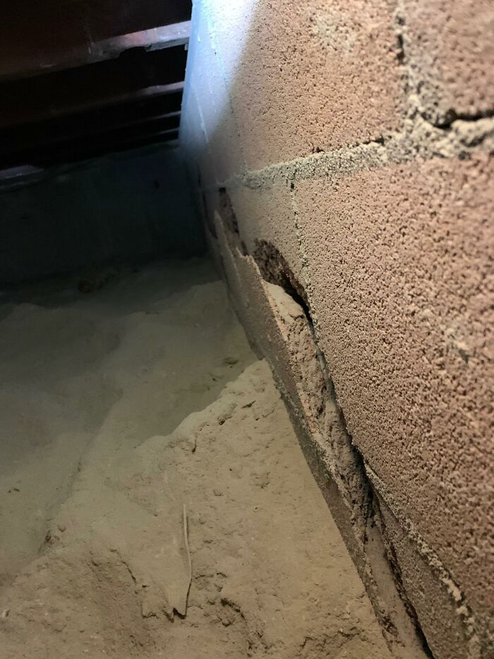 Horrible-Structural-Inspections