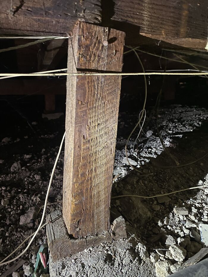 Horrible-Structural-Inspections