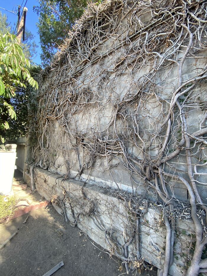 Horrible-Structural-Inspections