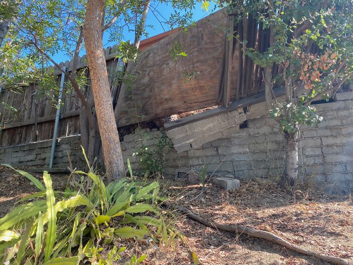 Horrible-Structural-Inspections