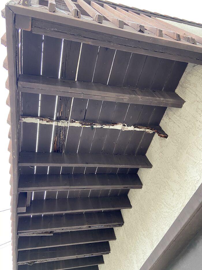 Horrible-Structural-Inspections