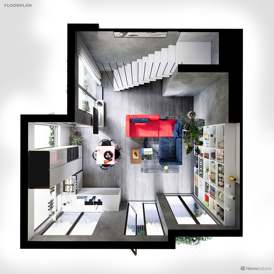 Here's How These 7 Pets See The World Around Them Here's How These 7 Pets See The World Around Them