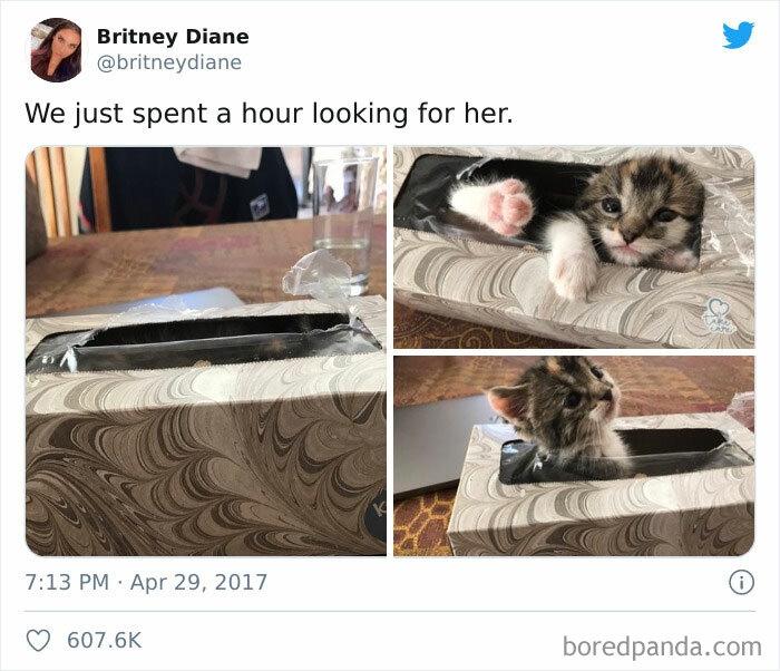 Saw This On Instagram