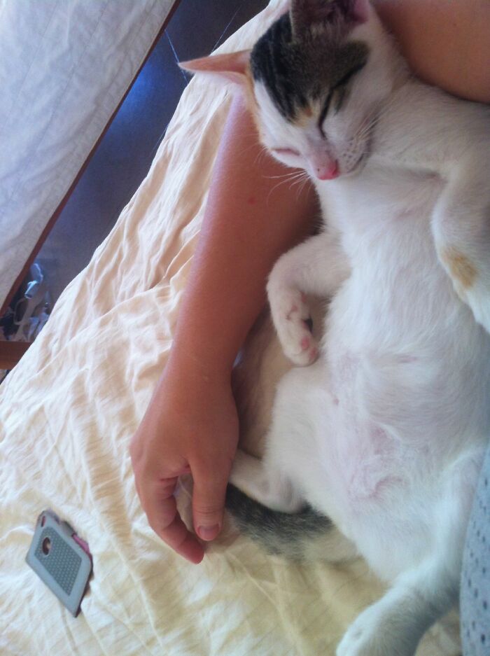 Lily Is Taking A Nap....