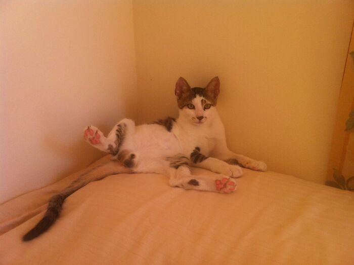 Looks Like I Interrupted Something..🙄