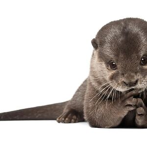 mariah-johnston09 avatar