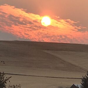 marilyndhelling avatar