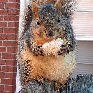 charity_nelson avatar