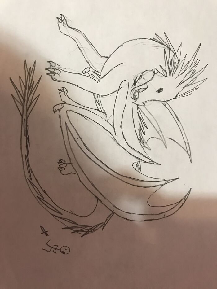 It Is An Icewing From Wof