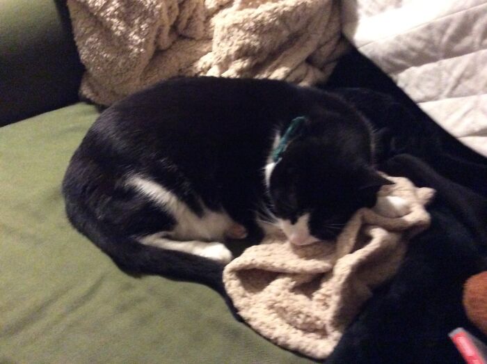 Shhhh...he’s Sleeping.