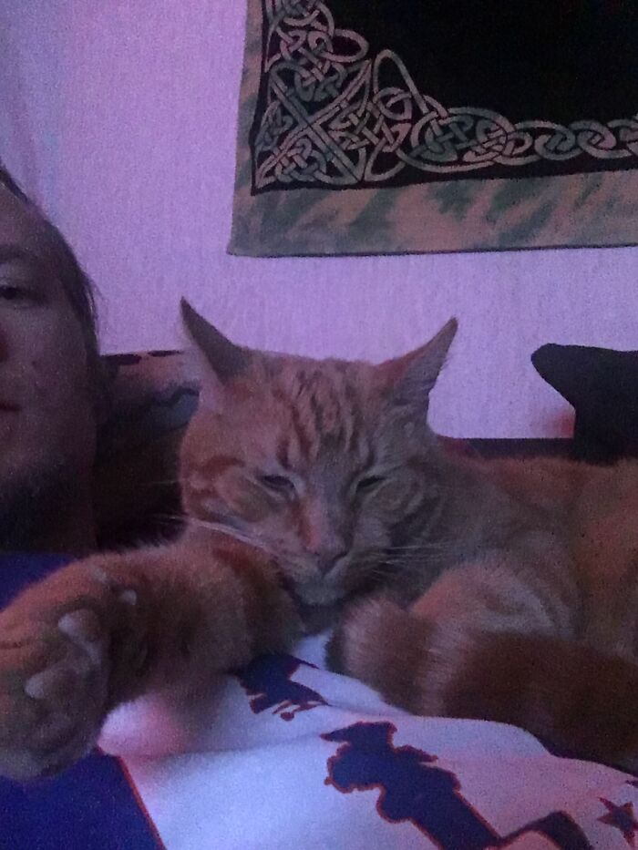 As Soon As O Lay Down He Comes