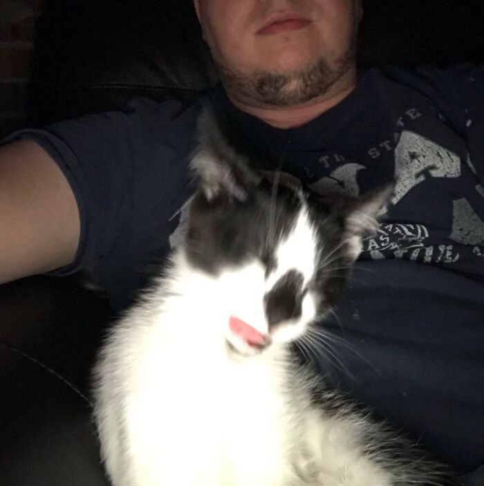 Our Dearly Departed Cat Named Panda. The Flash Caught Her Off Guard Blepping