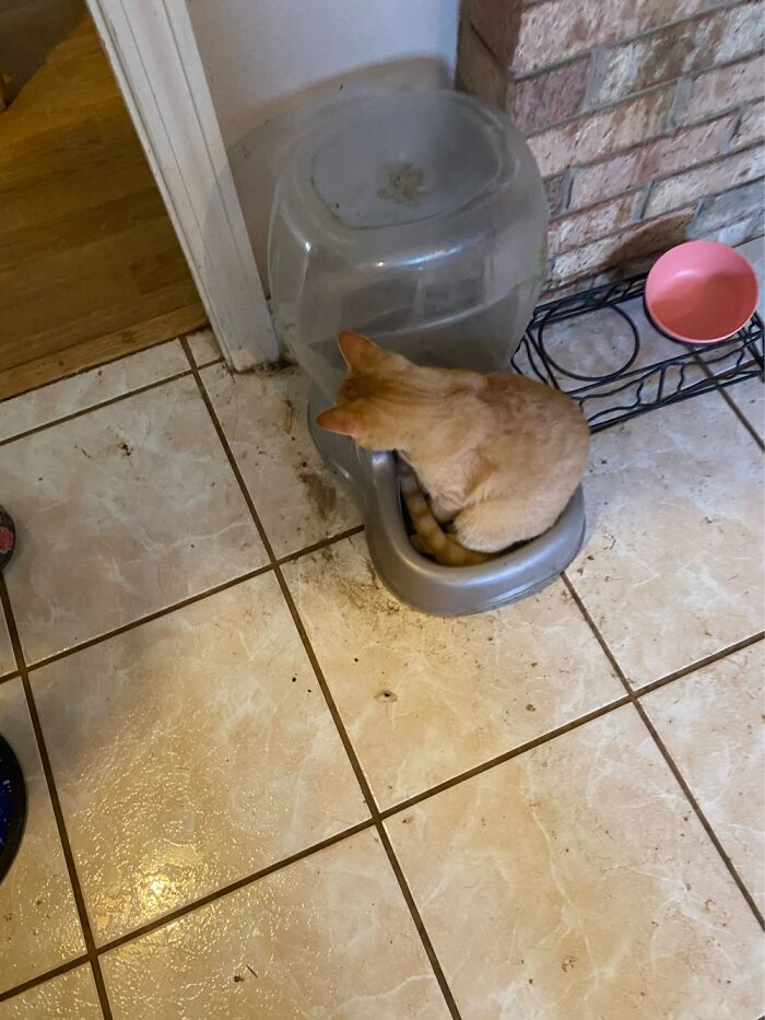 The Water Was Empty Apparently