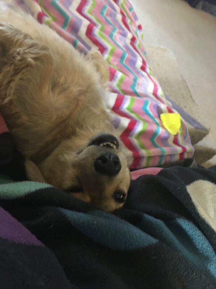 Lucy Lu Being Herself