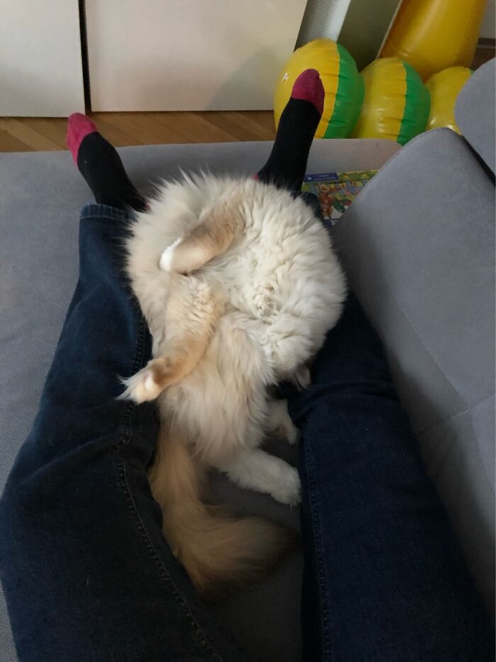 He Sleeps In The Strangest Of Positions