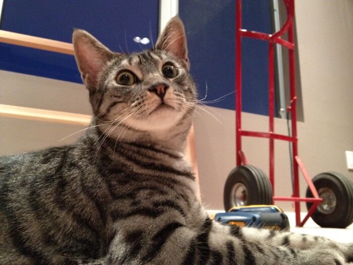 Whenever I See This Picture Of Her, I Can Hear “Dun Dun Dun Dun Dunnn” Playing In My Head.