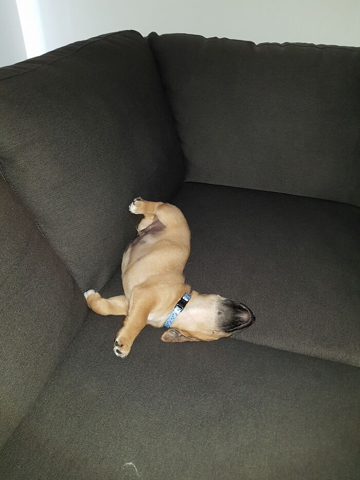 New Edition Beau Definitely At Ease