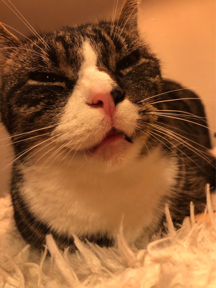 When Our Eyes Are Slowly Closing, The Mouth Opens