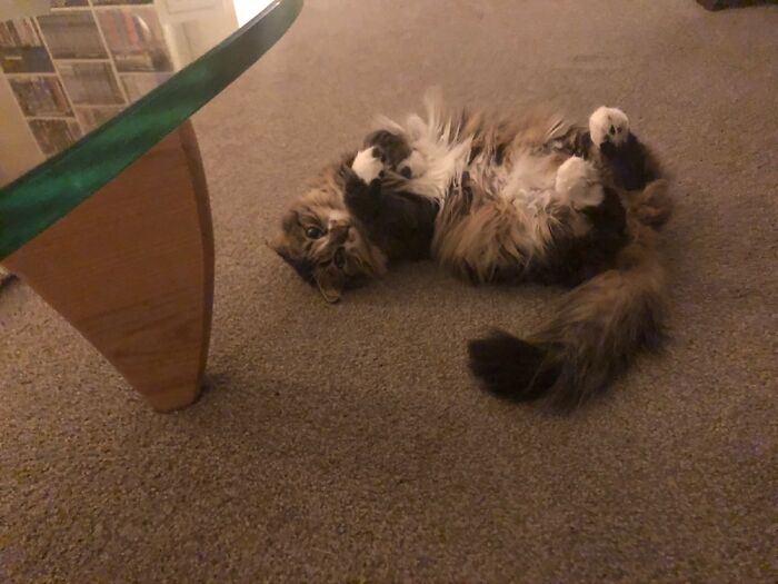 Sparrow’s Default State.