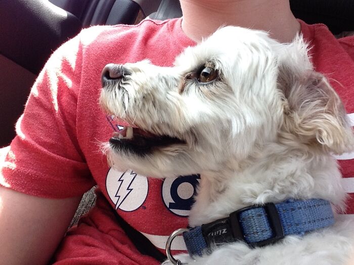 Couldn’t Find A Pic Derpier Than This One