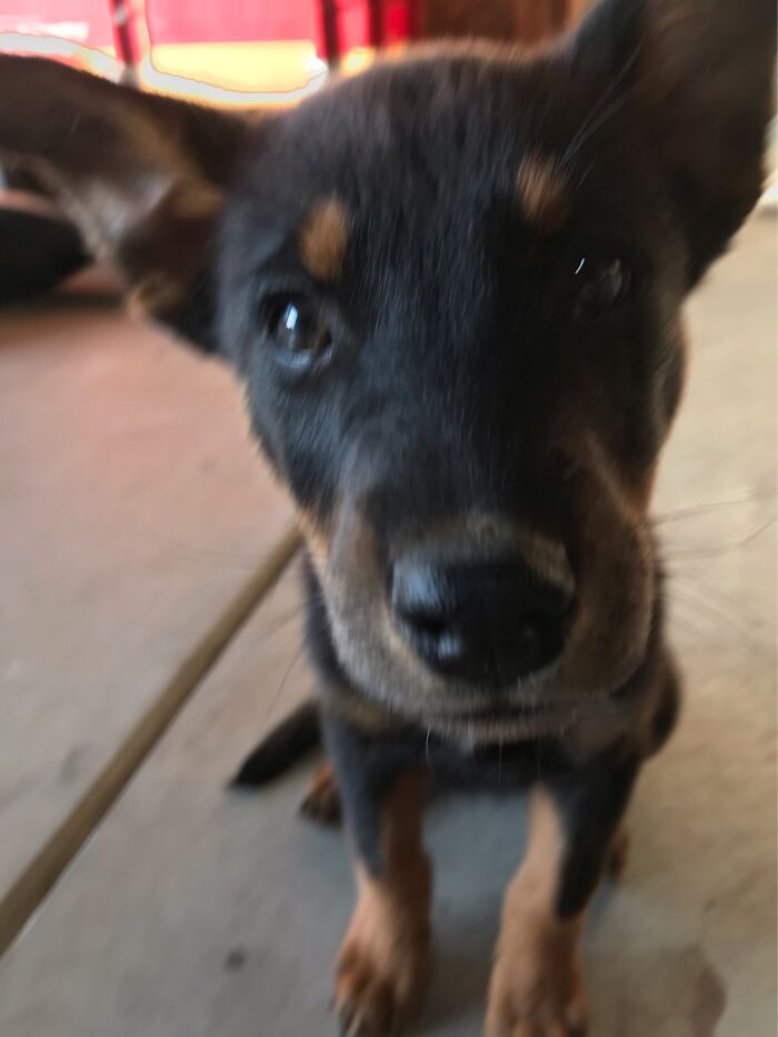 She Was Checking Out My Phone.