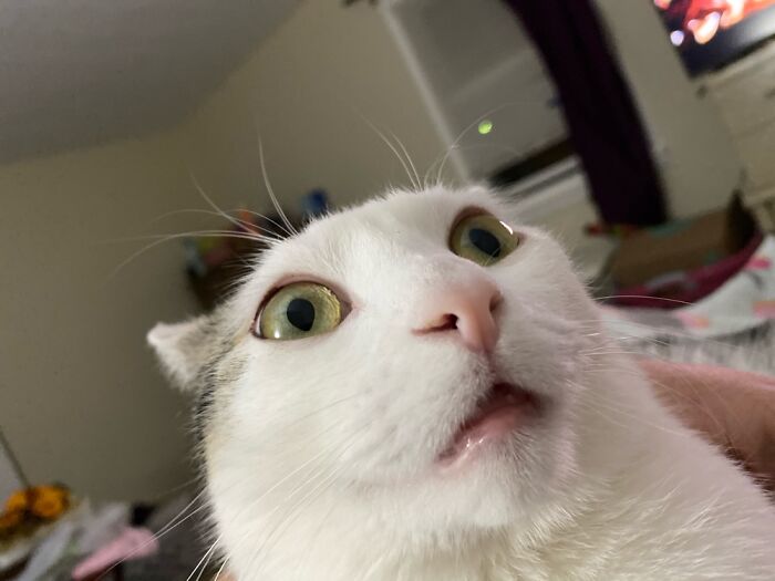 Didn't Like Me Singing Out Loud.