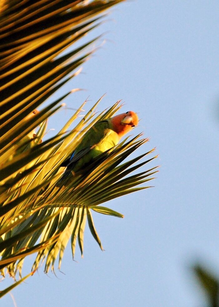 I Hope You Don't Mind That I Added A Wild One. You've Got To Admit, This Is A Cute Derp.