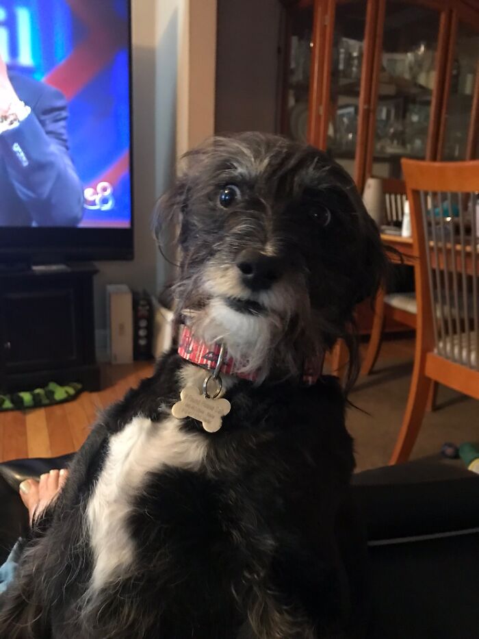 He’s Looked At Me Like I’m Crazy Before, But It’s The Only Time I’ve Caught It On Camera!