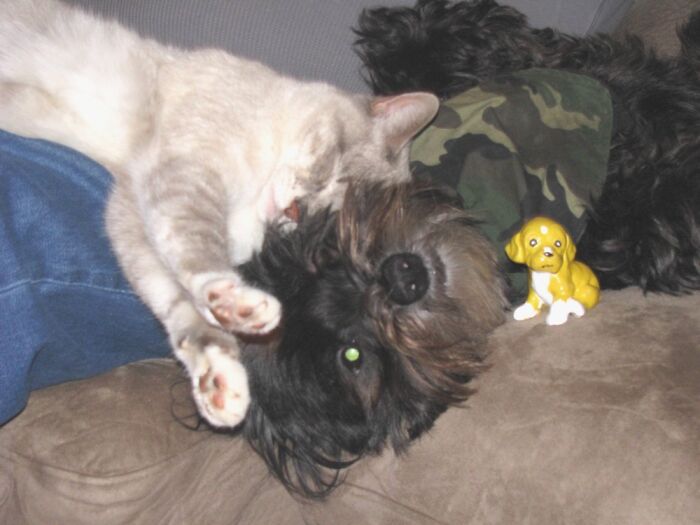 Neither Had Any Intentions Of Moving!