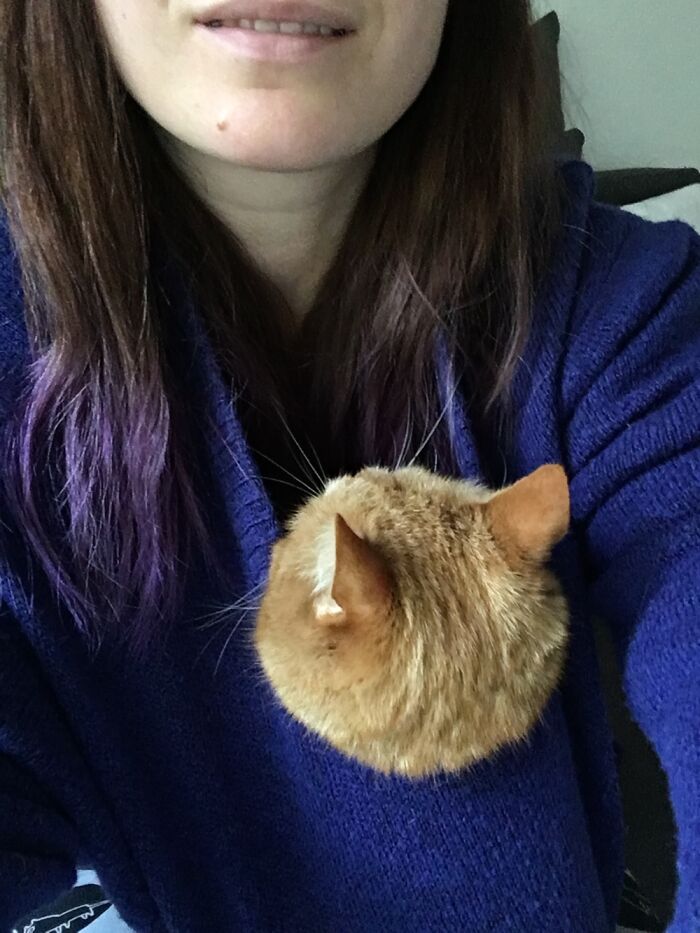 Working From Home With My Cat Is Always Like This :)