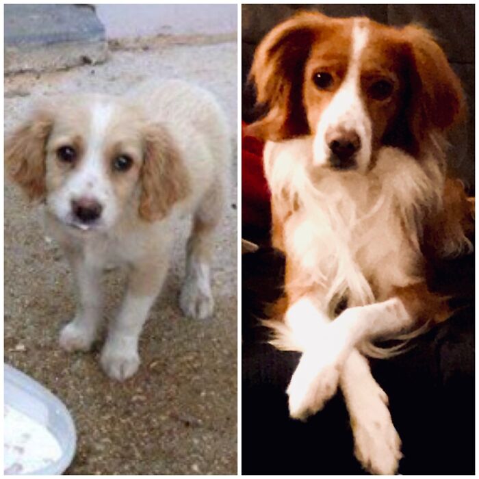 James; Found With His Leg Broken. Now He’s 7.