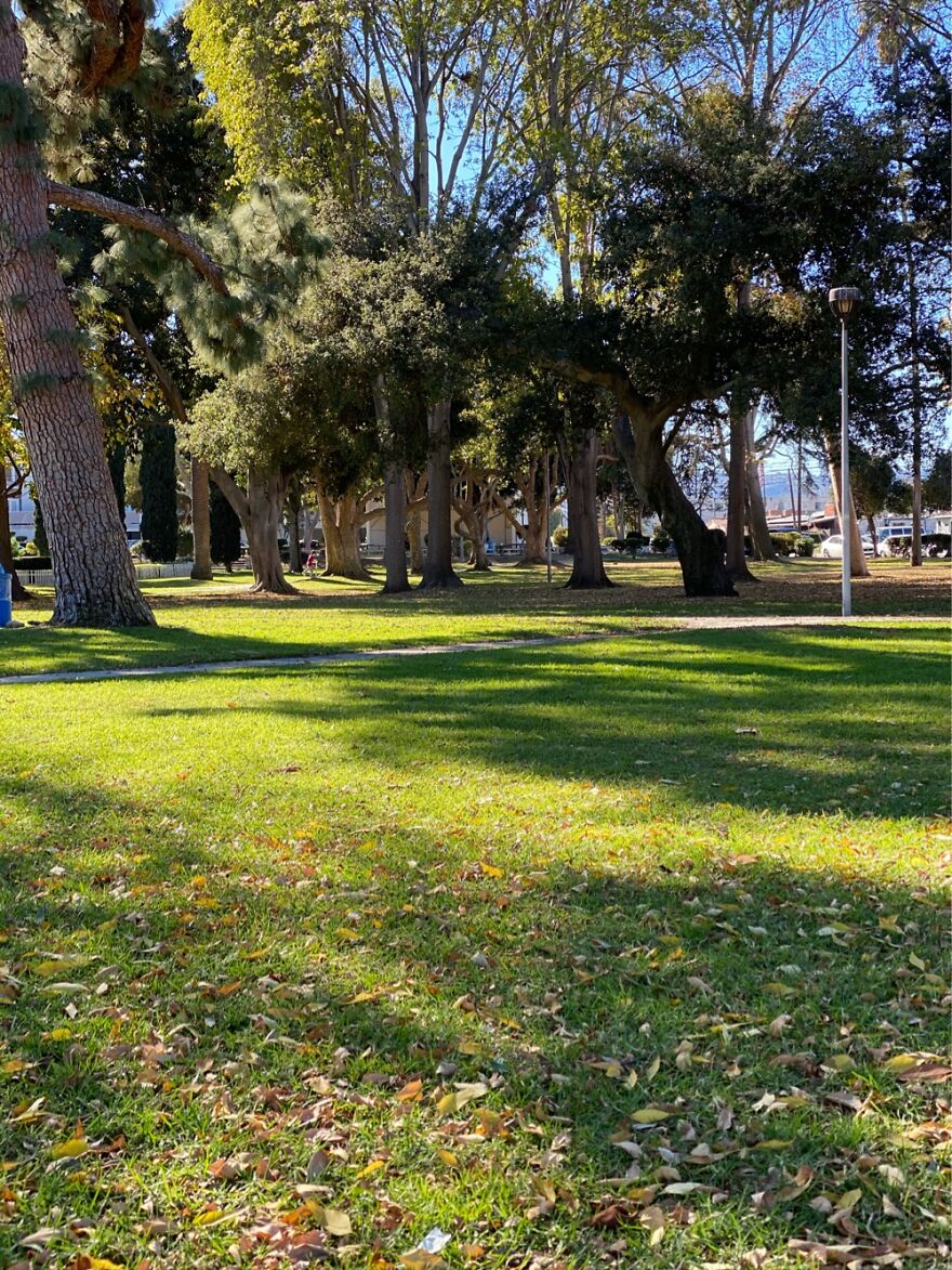 Park Down The Street