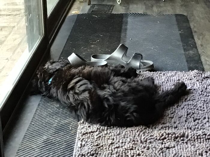 Snuggling Up With A Sandal