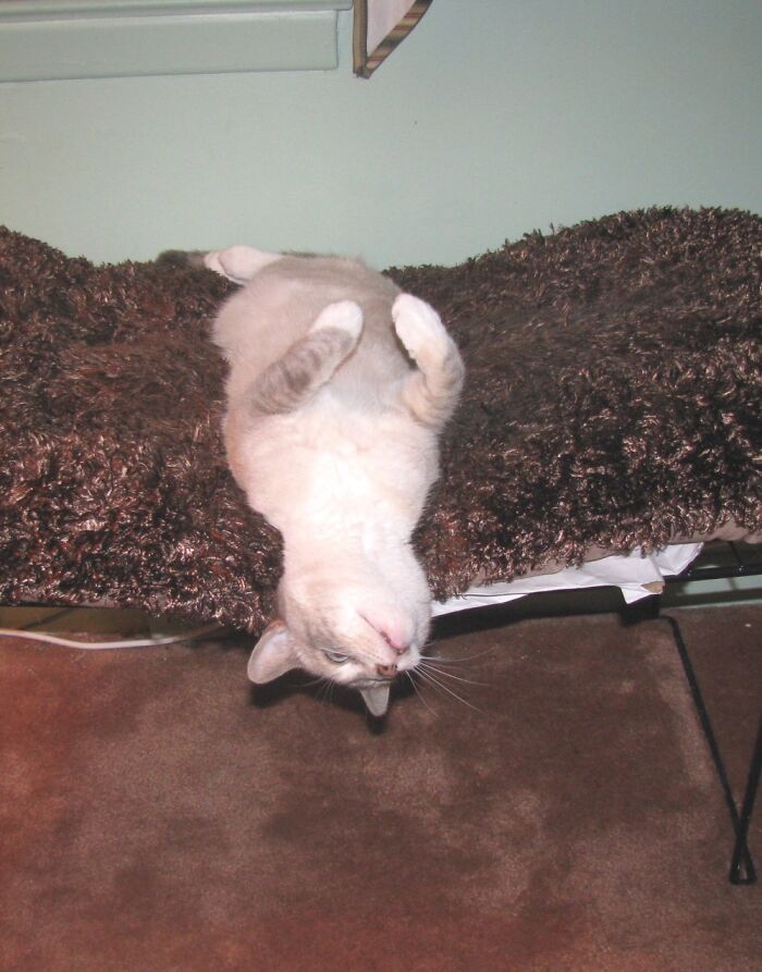 No. The Picture Isn’t Upside Down