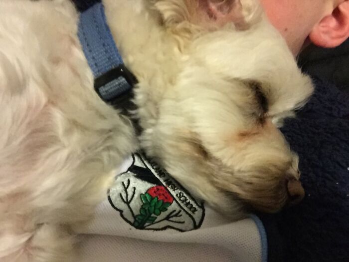 I Love Cuddling With Him When He’s Asleep...