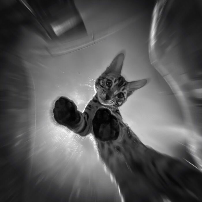 Discovering That The Plastic Chair Is Transparent