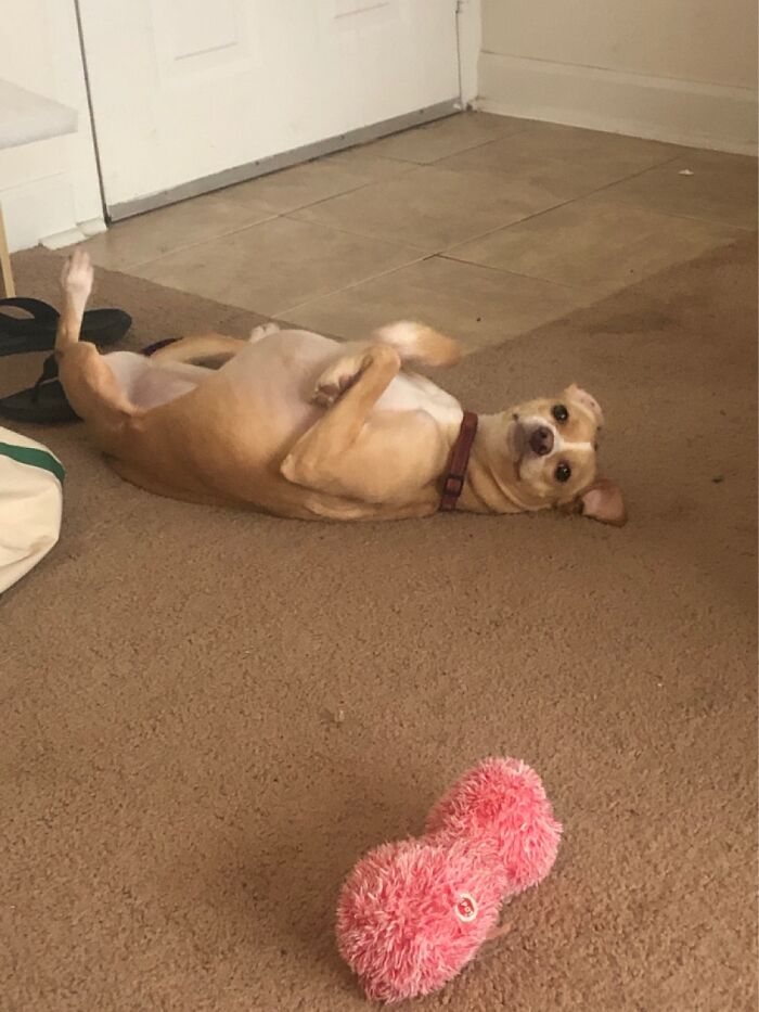 Don’t Mind Me Over Here