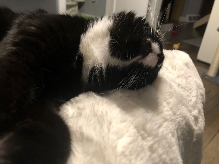 Always Sleeps Like This.