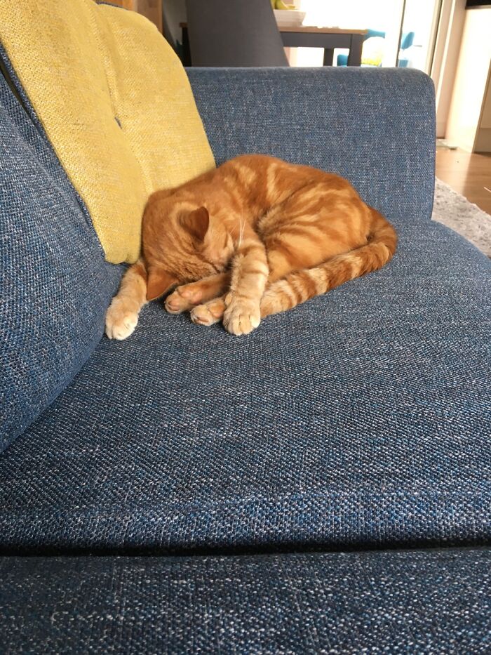 I’m Not Entirely Sure Of What Was Going On Here